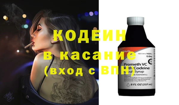сатива Аркадак