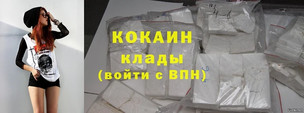 сатива Аркадак
