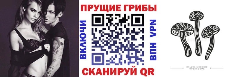 Псилоцибиновые грибы ЛСД  Купить закладки  Правдинск 